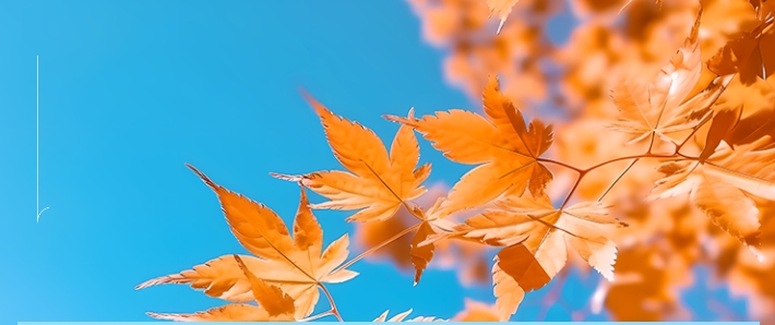 快來看色彩繽紛的株軌校園，肯定有你喜歡的美